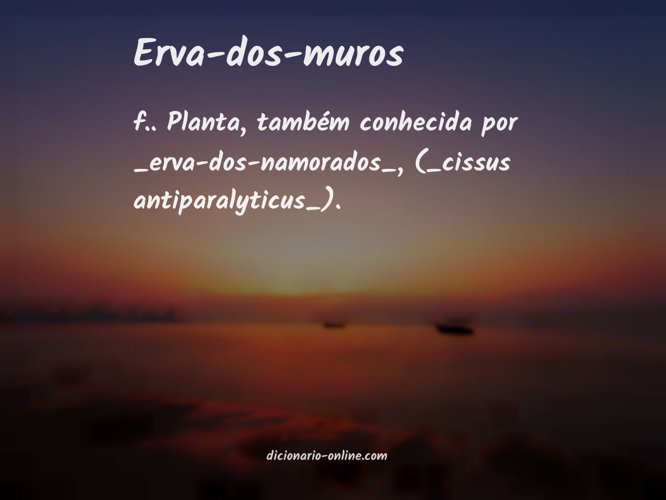 Significado de erva-dos-muros