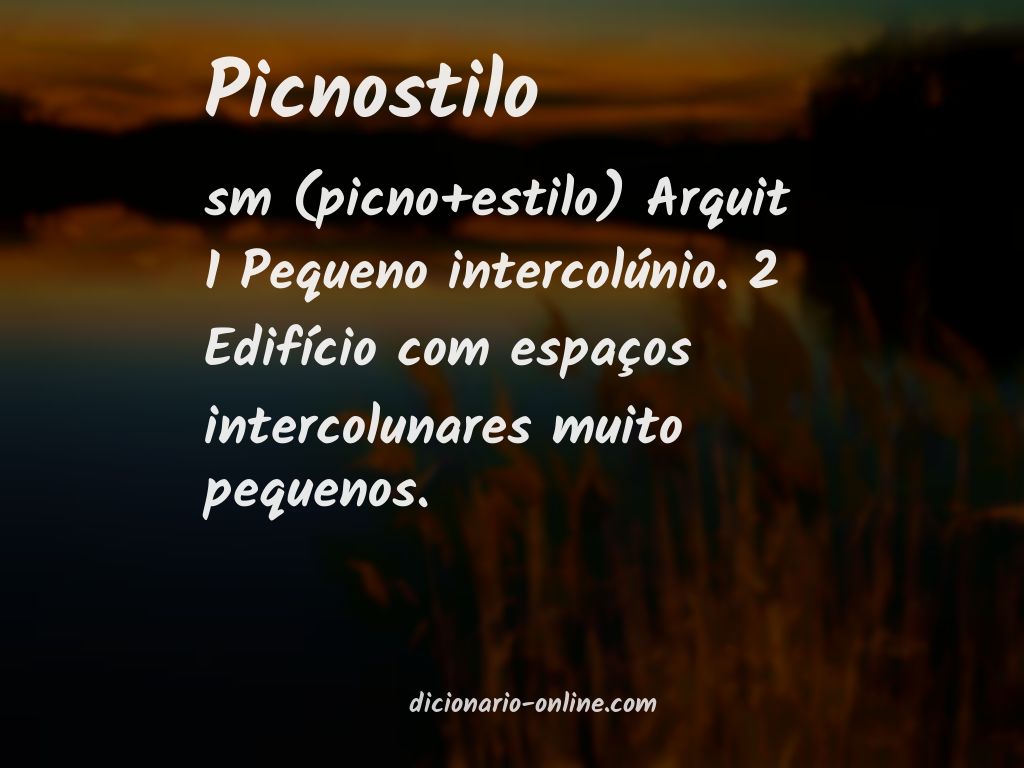 Significado de picnostilo