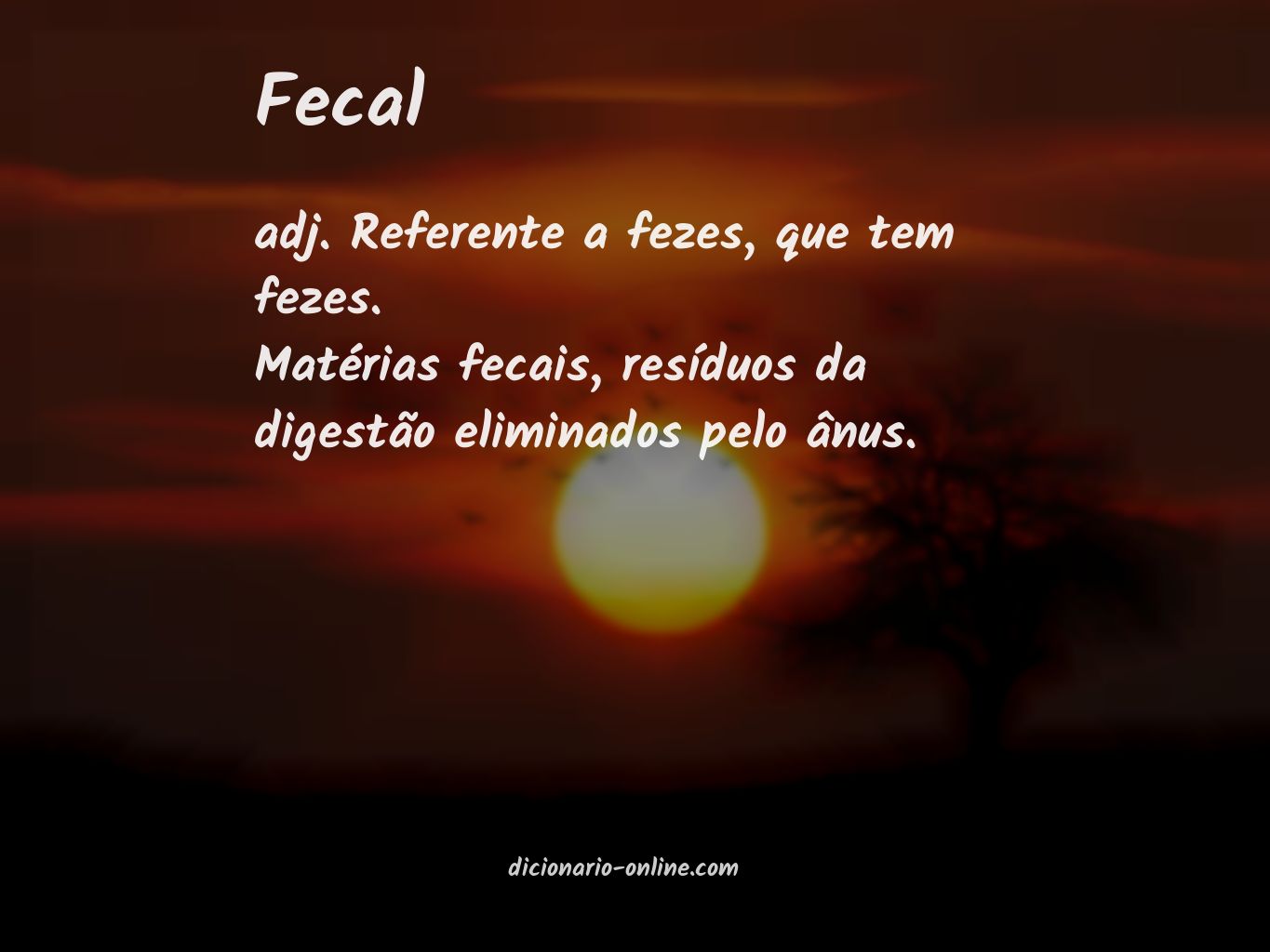 Significado de fecal