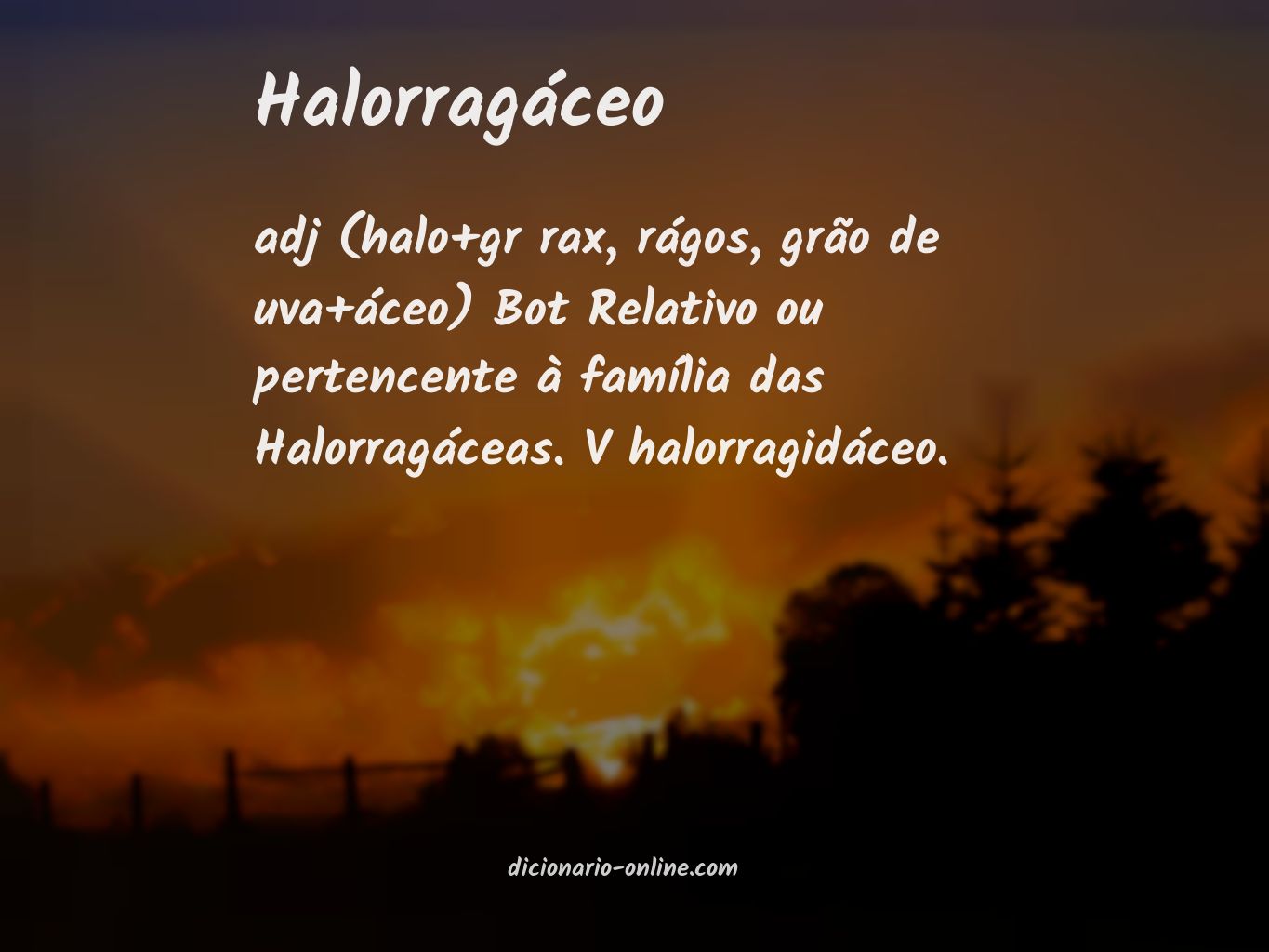 Significado de halorragáceo