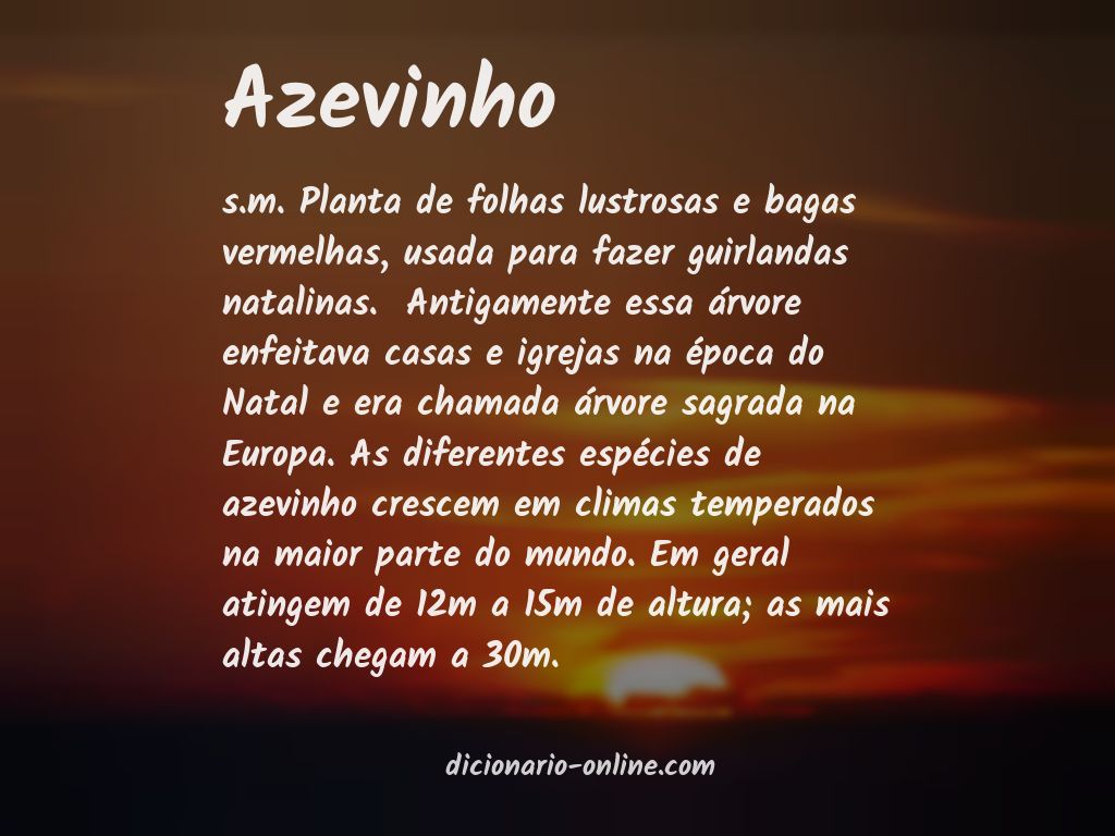 Significado de azevinho