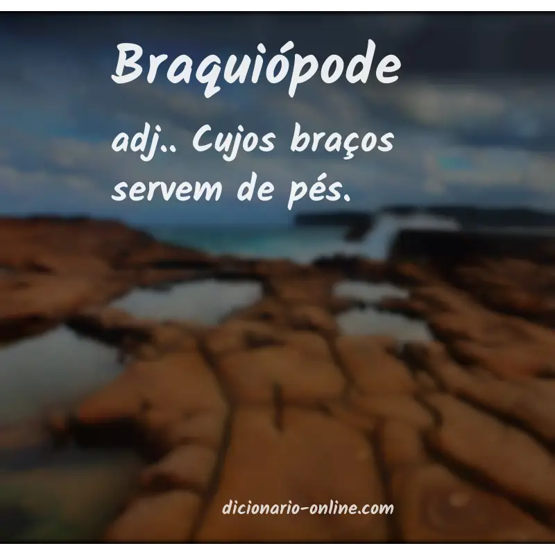 Significado de braquiópode