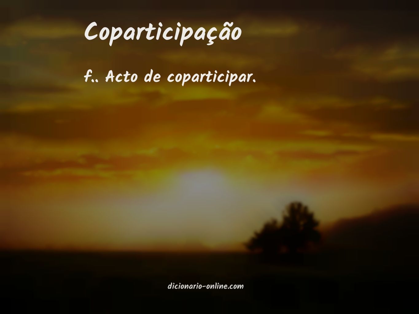 Significado de coparticipação