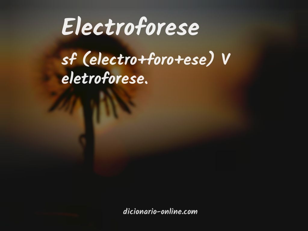 Significado de electroforese