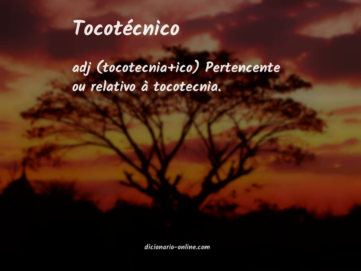 Significado de tocotécnico