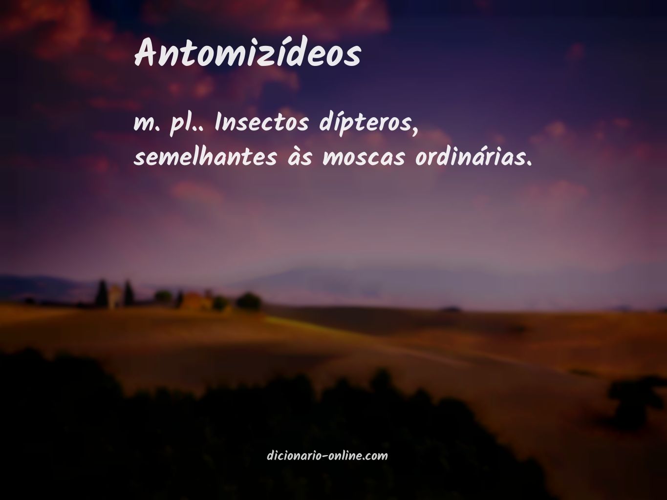 Significado de antomizídeos