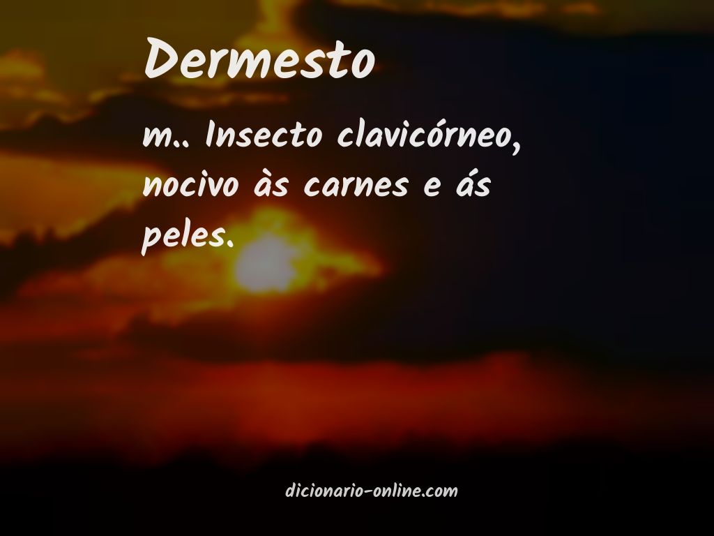 Significado de dermesto