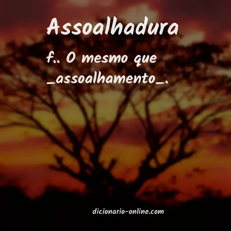 Significado de assoalhadura