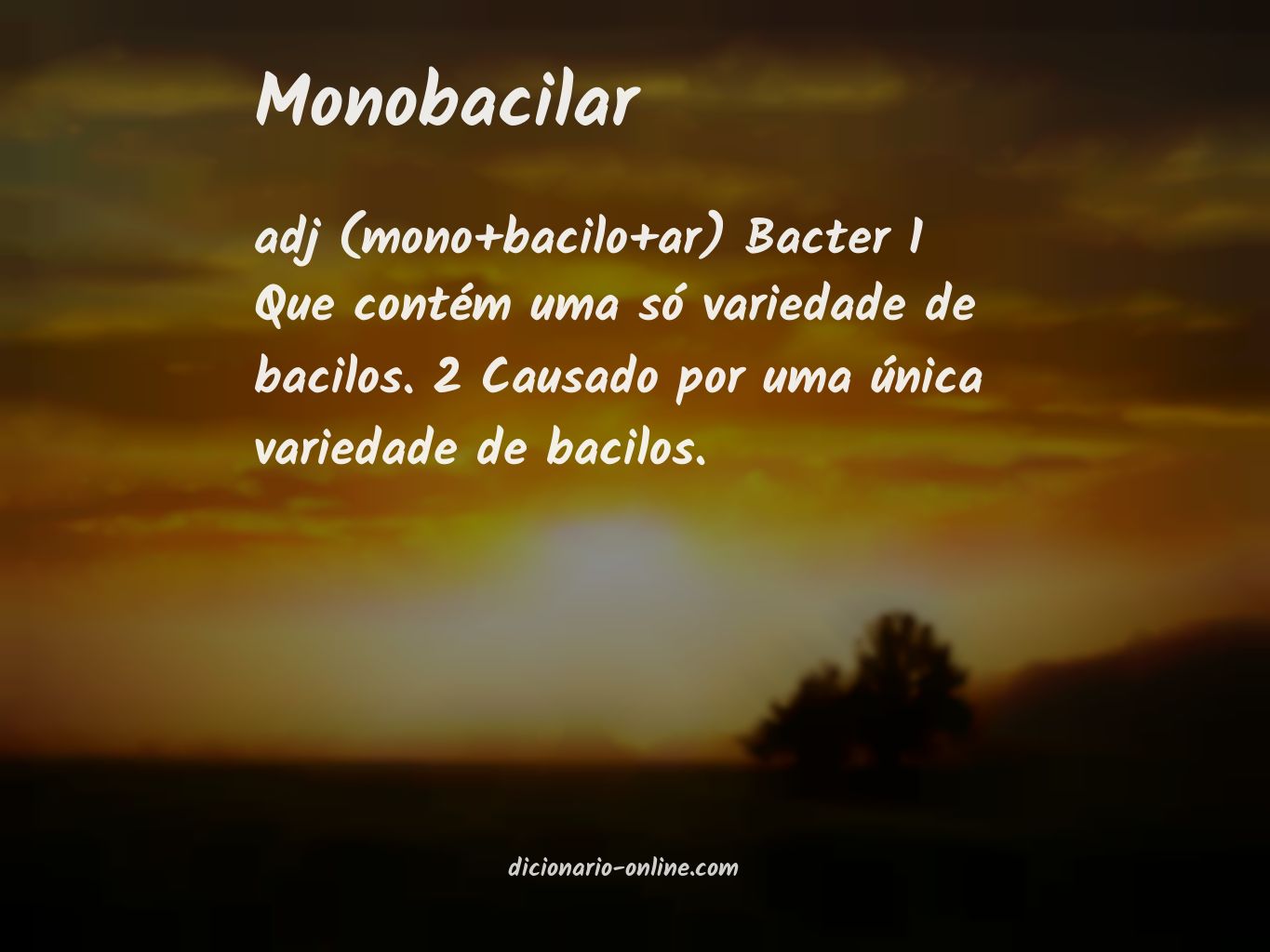 Significado de monobacilar