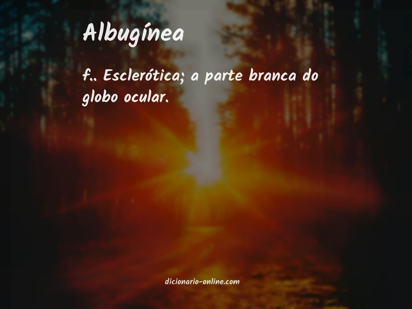 Significado de albugínea