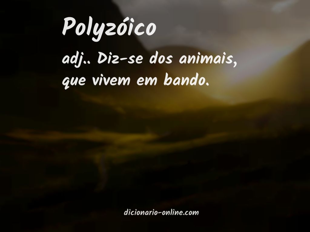 Significado de polyzóico