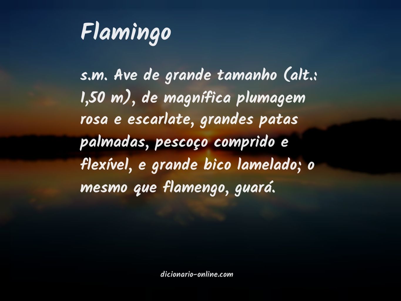 Significado de flamingo