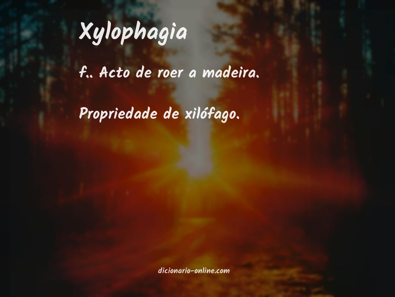 Significado de xylophagia