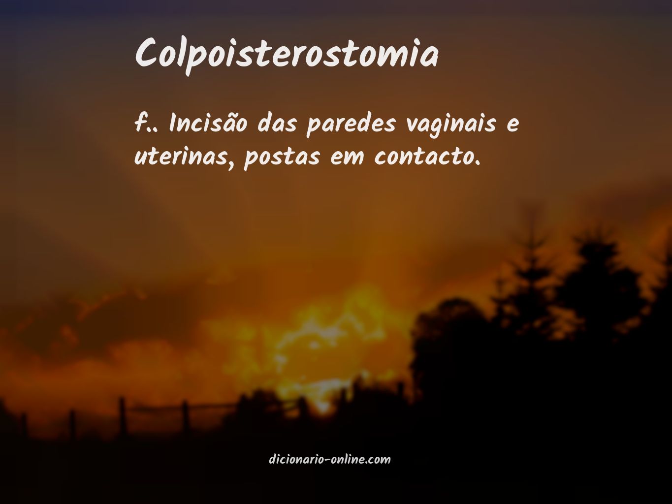 Significado de colpoisterostomia