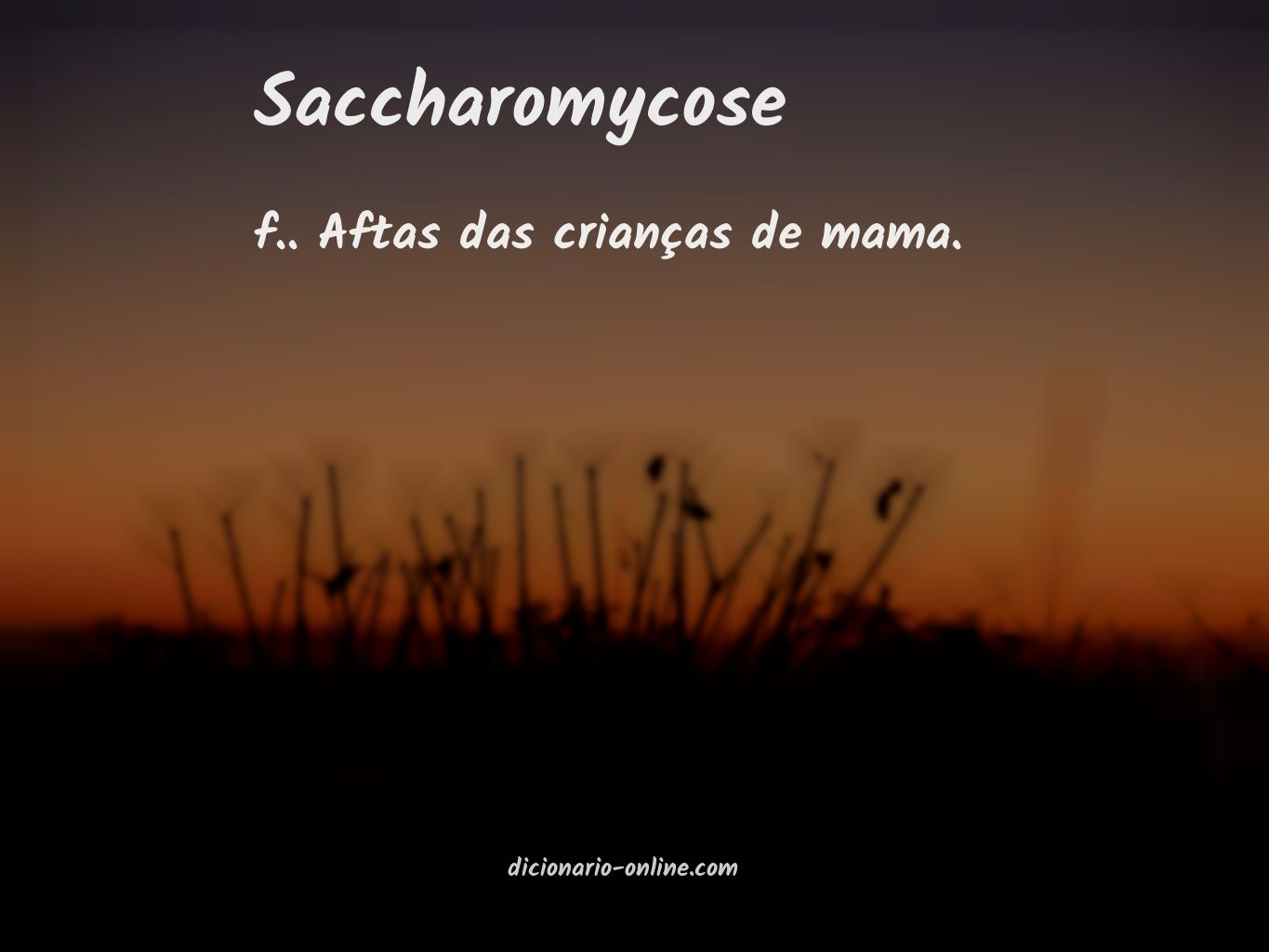 Significado de saccharomycose