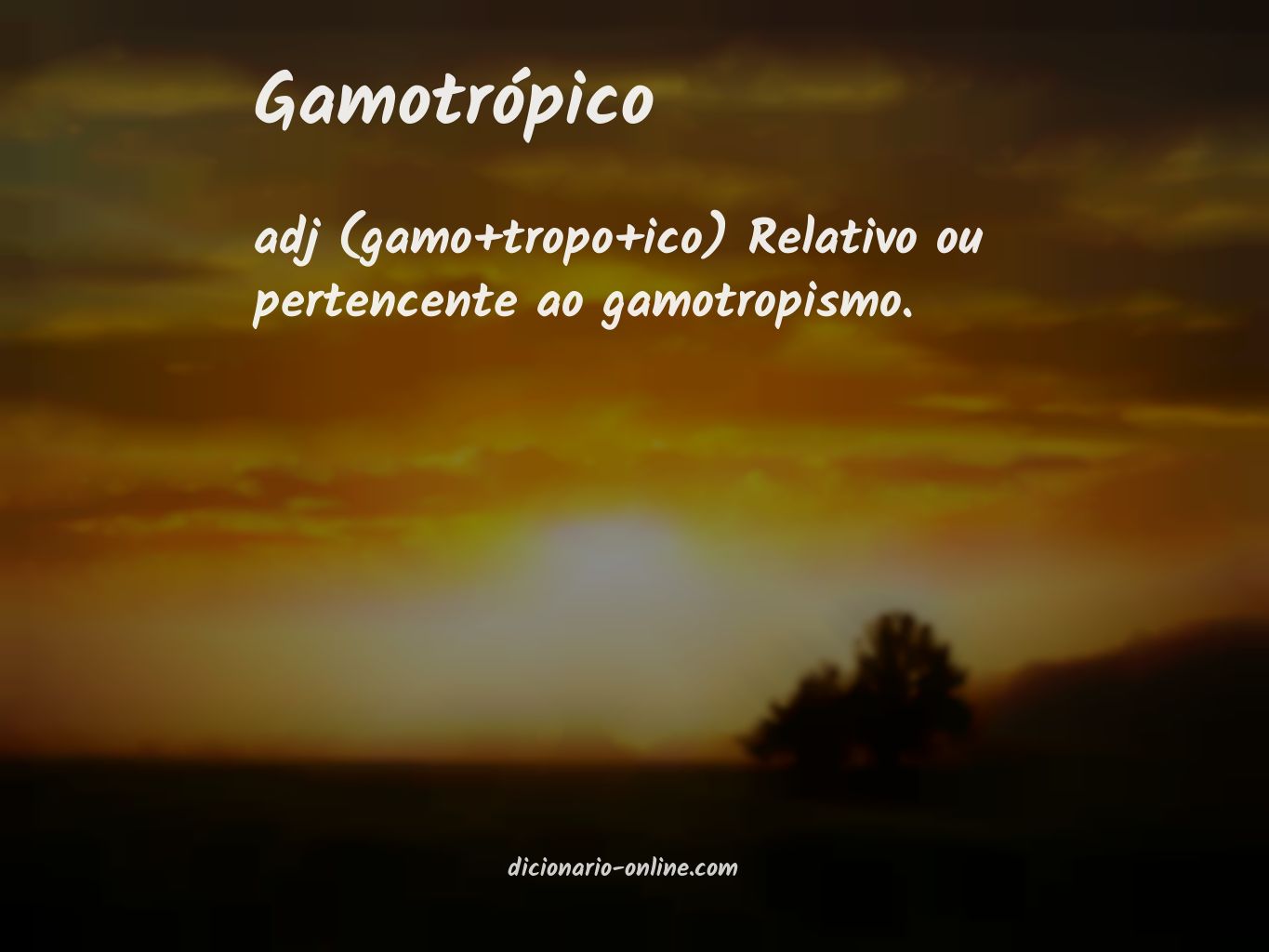 Significado de gamotrópico