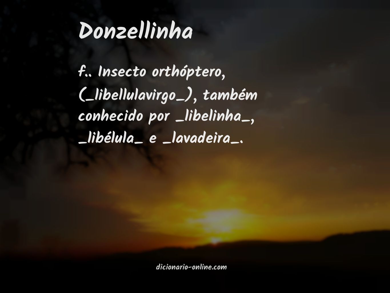 Significado de donzellinha