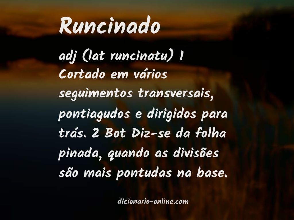 Significado de runcinado