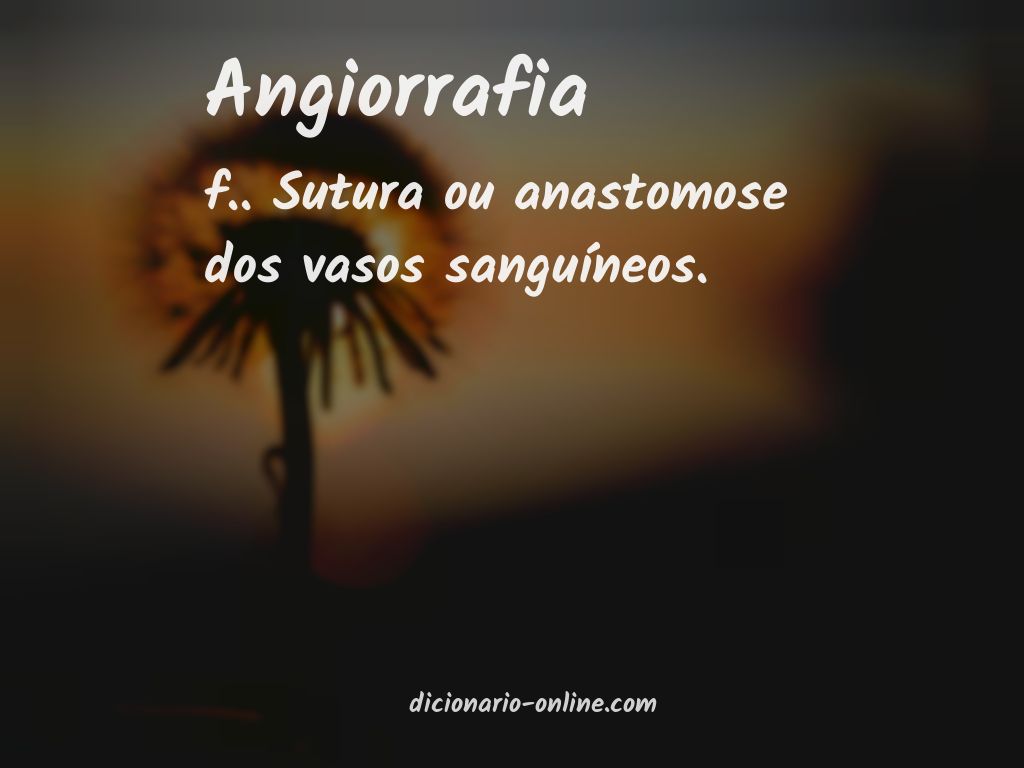 Significado de angiorrafia