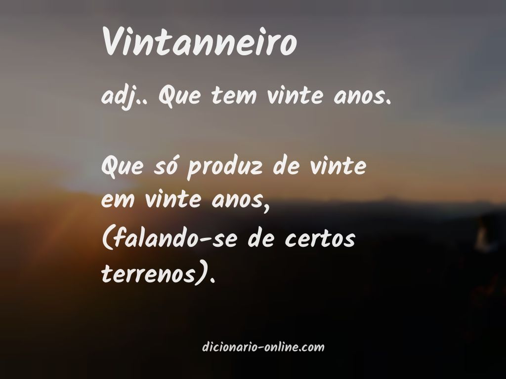 Significado de vintanneiro