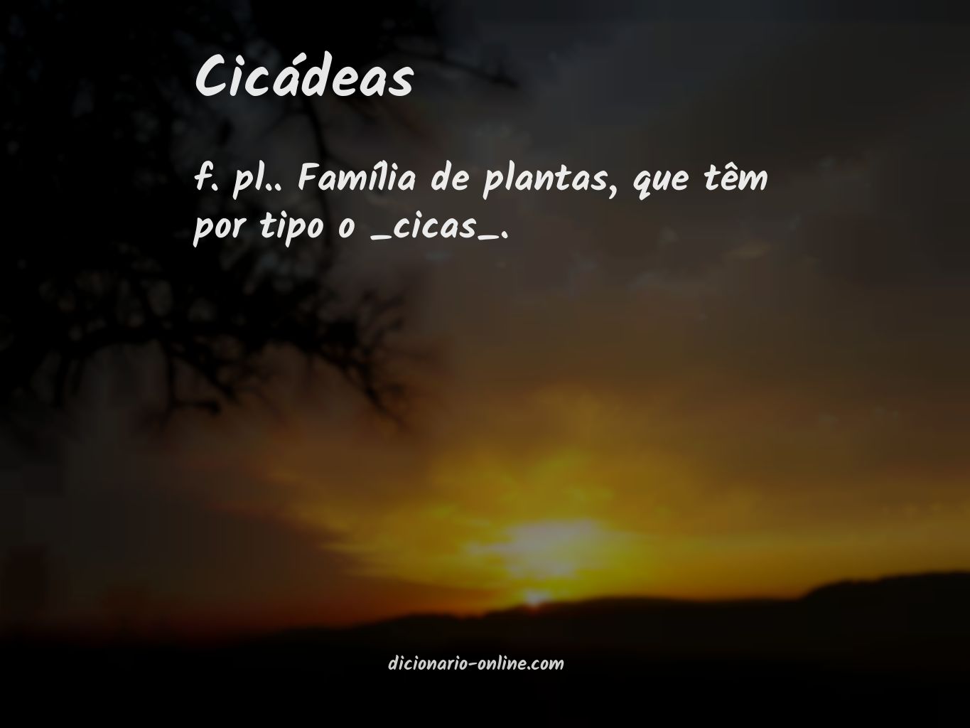 Significado de cicádeas