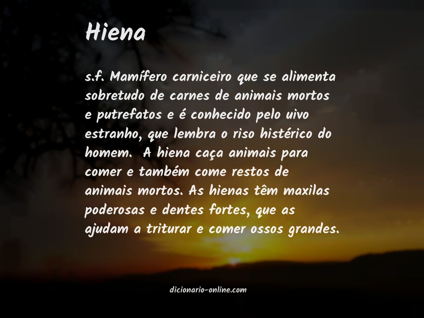 Significado de hiena