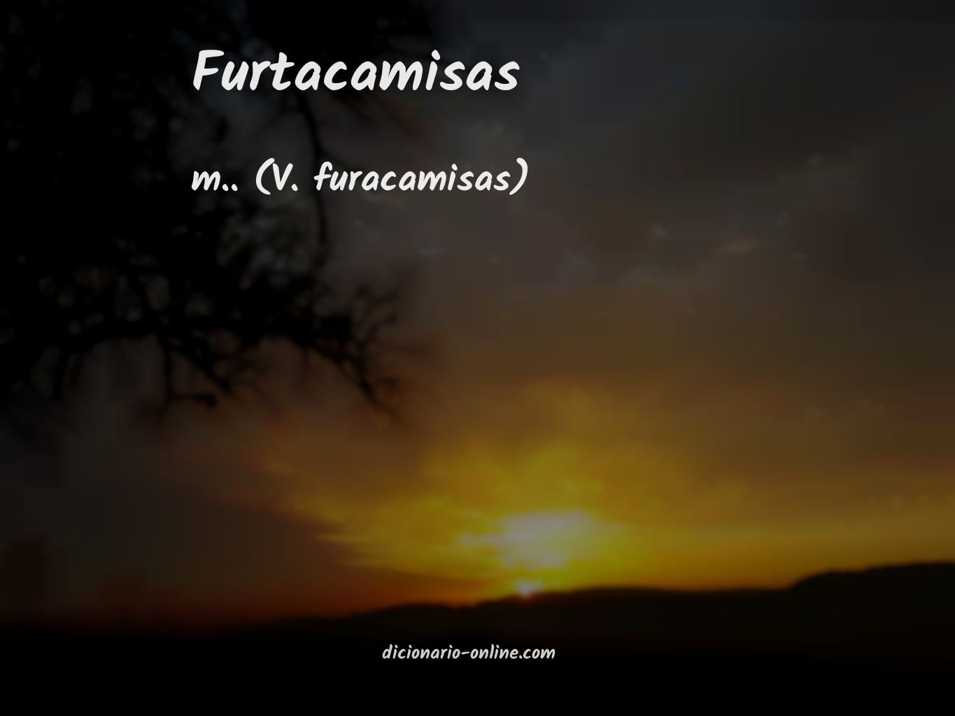 Significado de furtacamisas