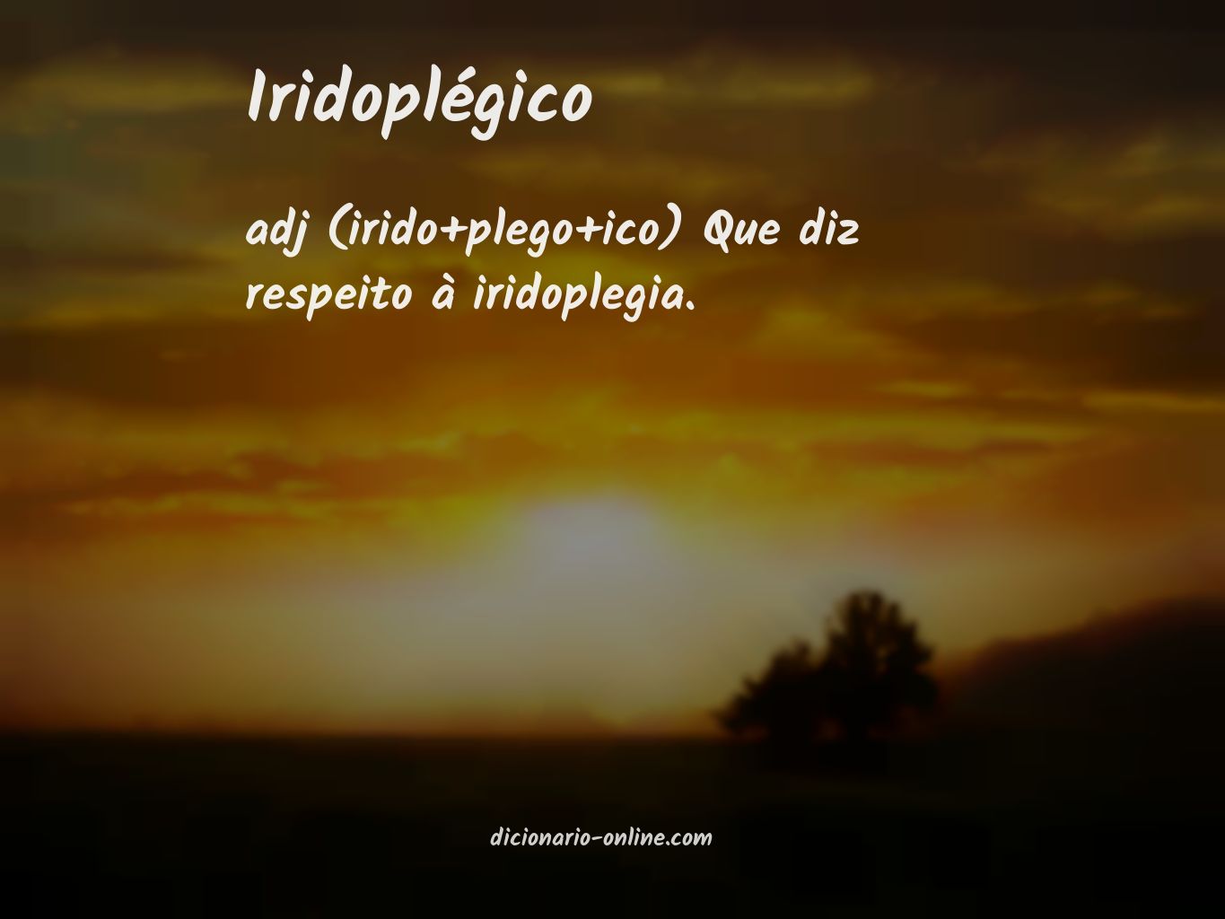 Significado de iridoplégico