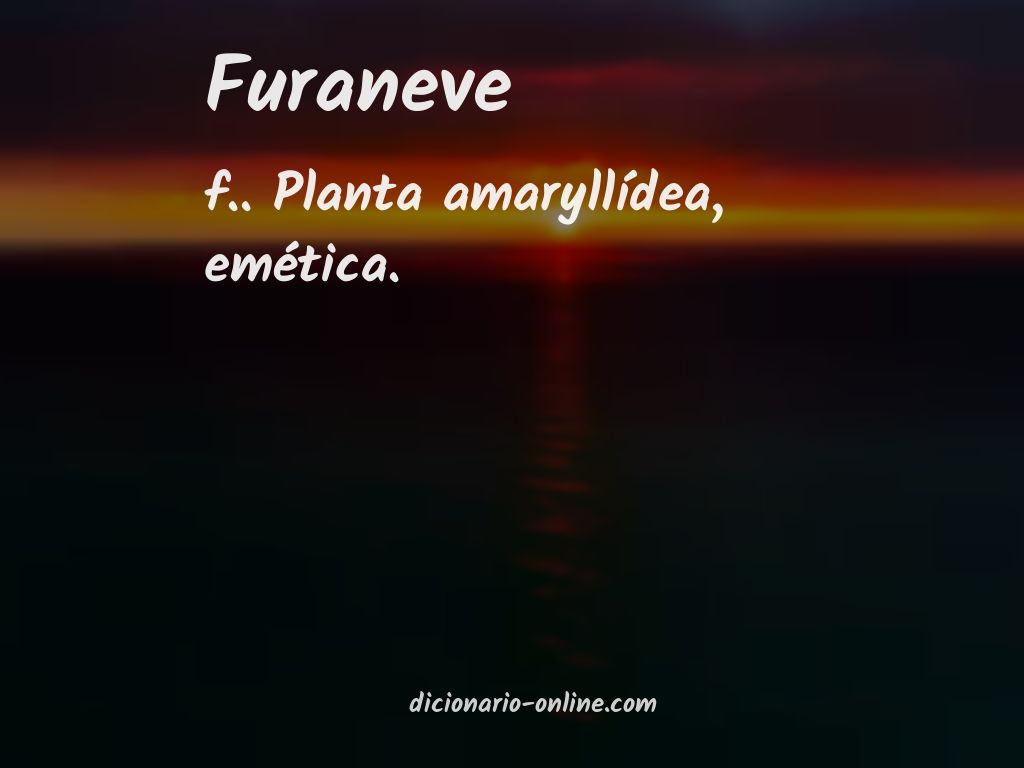 Significado de furaneve