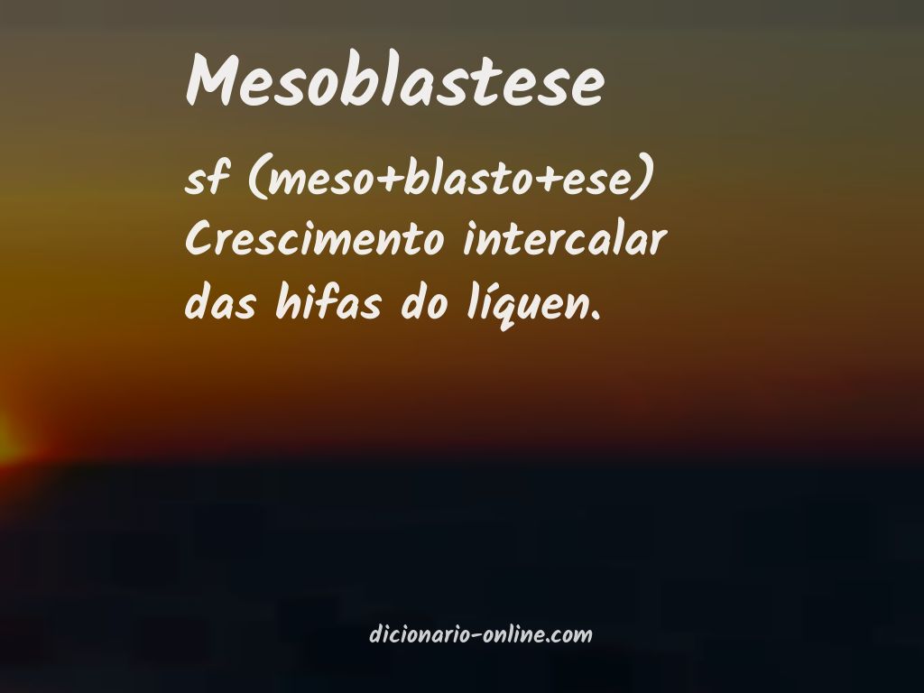 Significado de mesoblastese