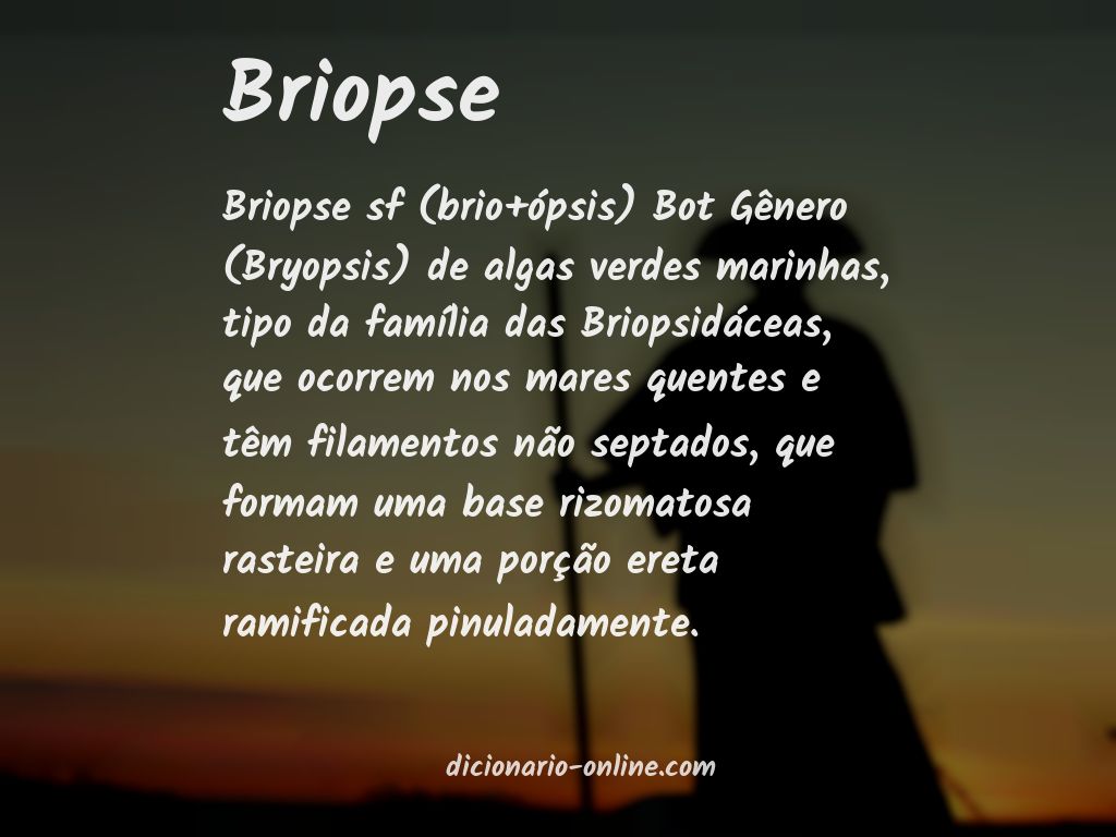 Significado de briopse