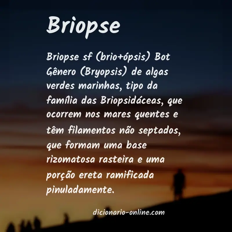 Significado de briopse