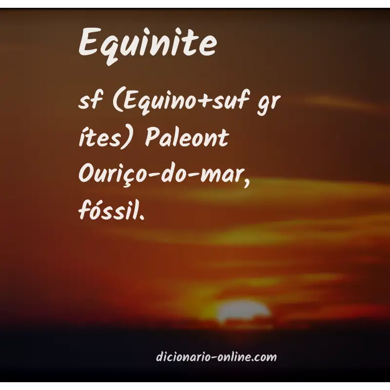 Significado de equinite
