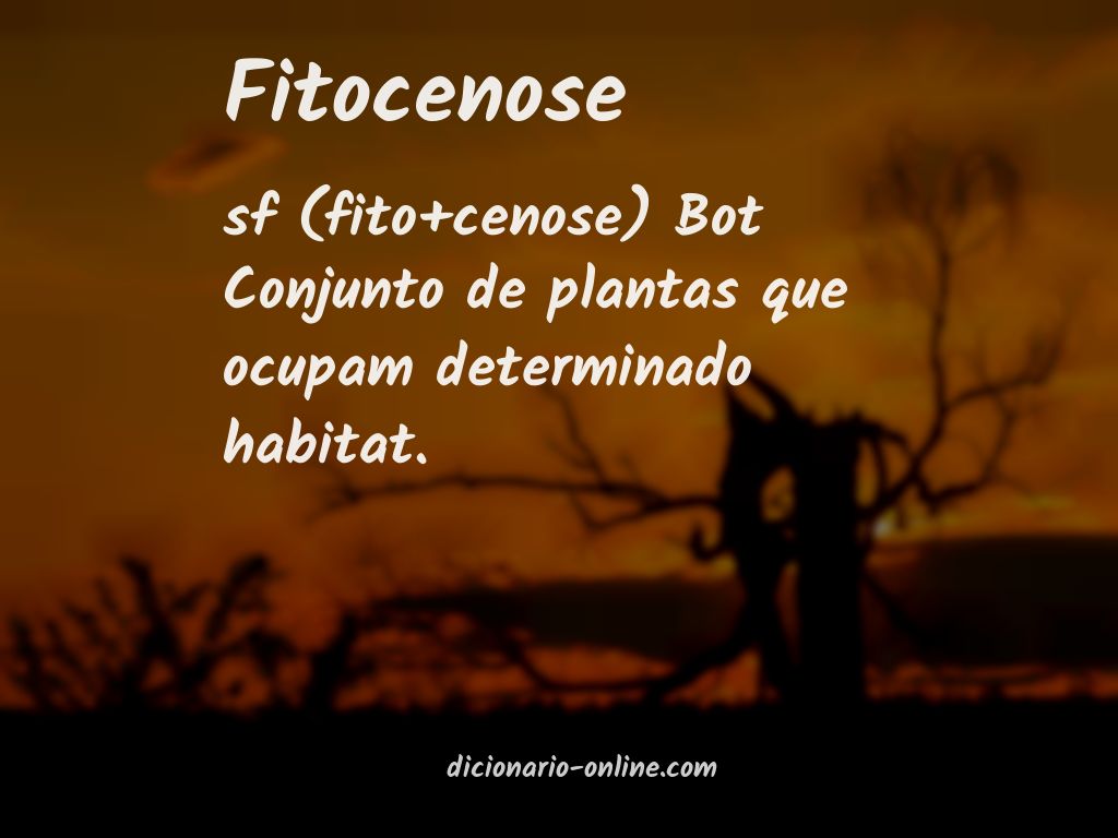 Significado de fitocenose