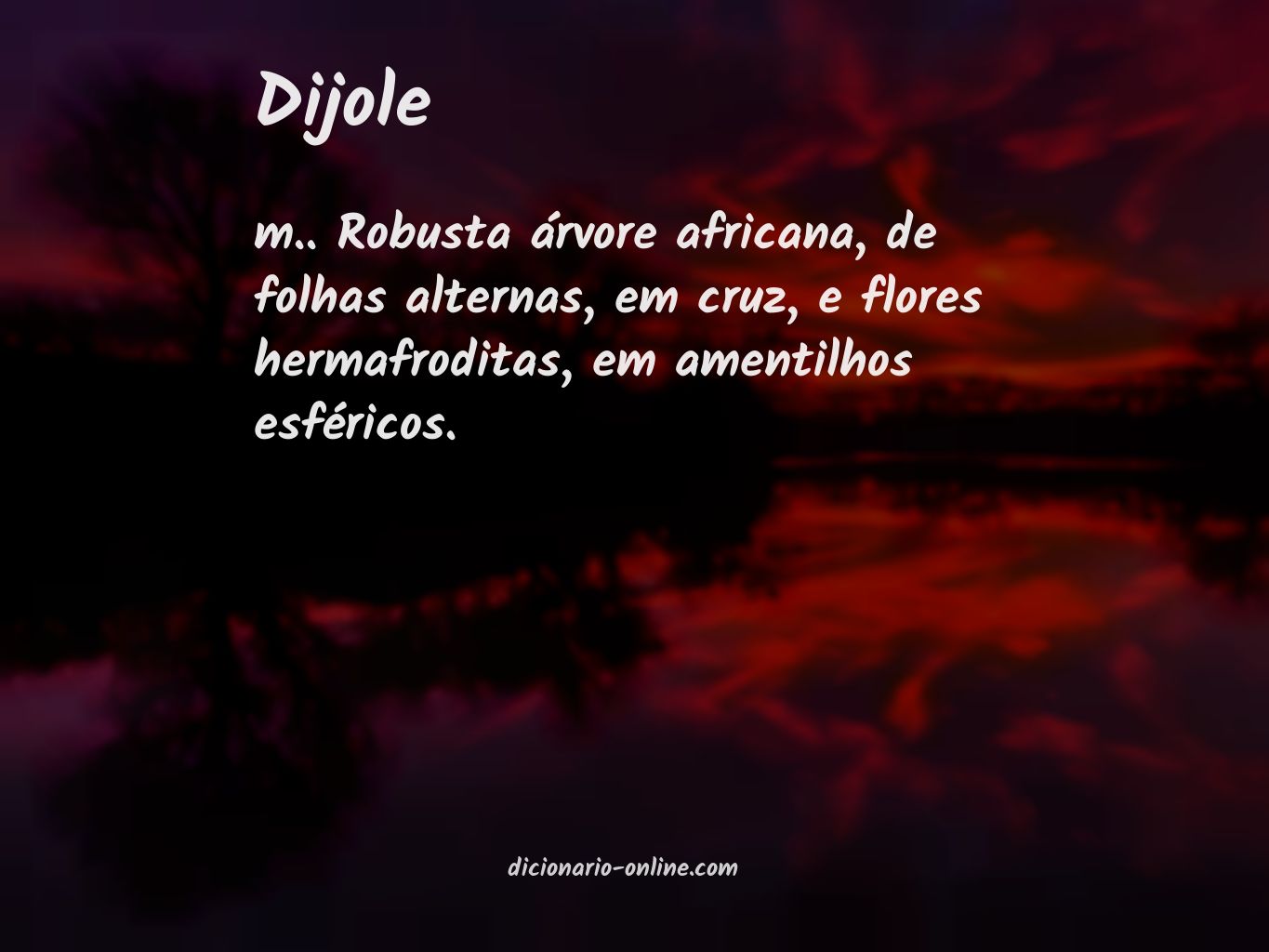 Significado de dijole