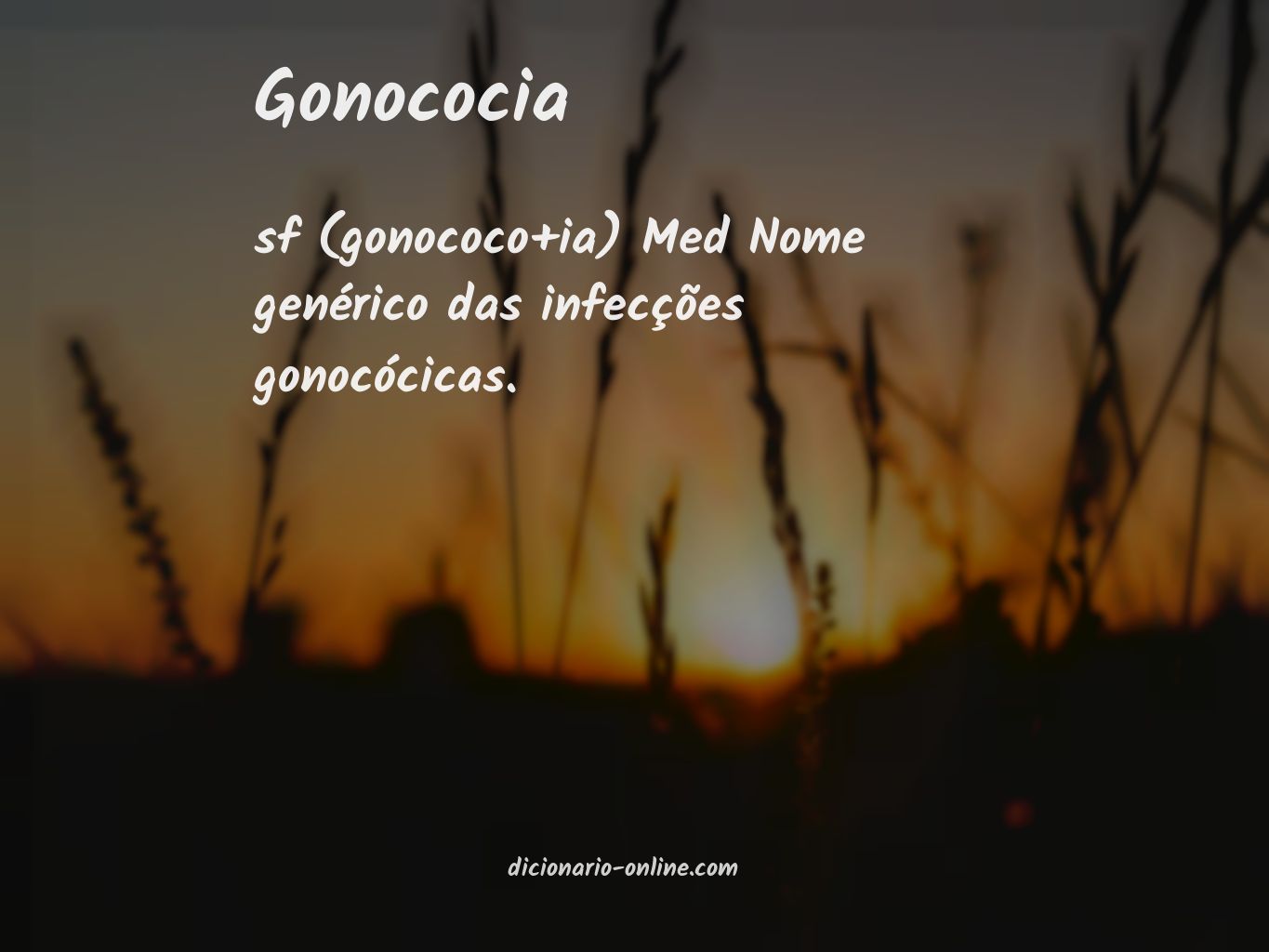 Significado de gonococia