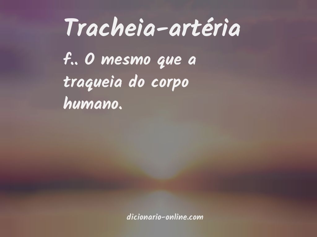 Significado de tracheia-artéria