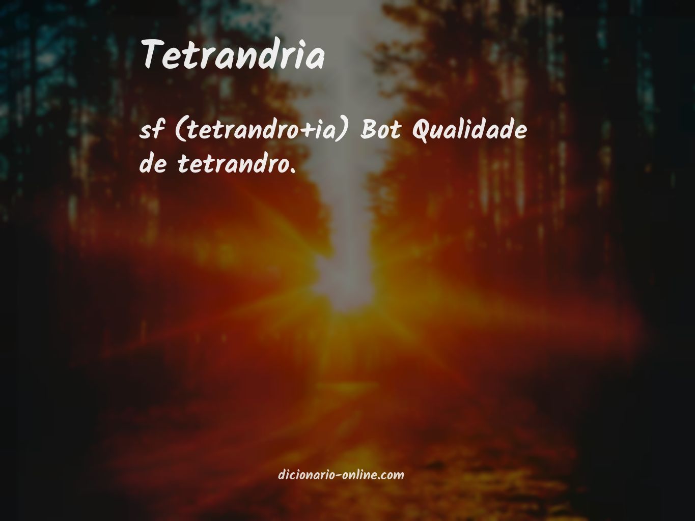 Significado de tetrandria