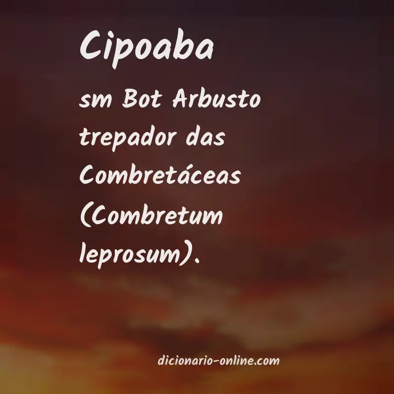 Significado de cipoaba