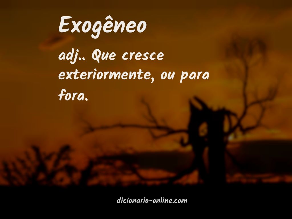 Significado de exogêneo