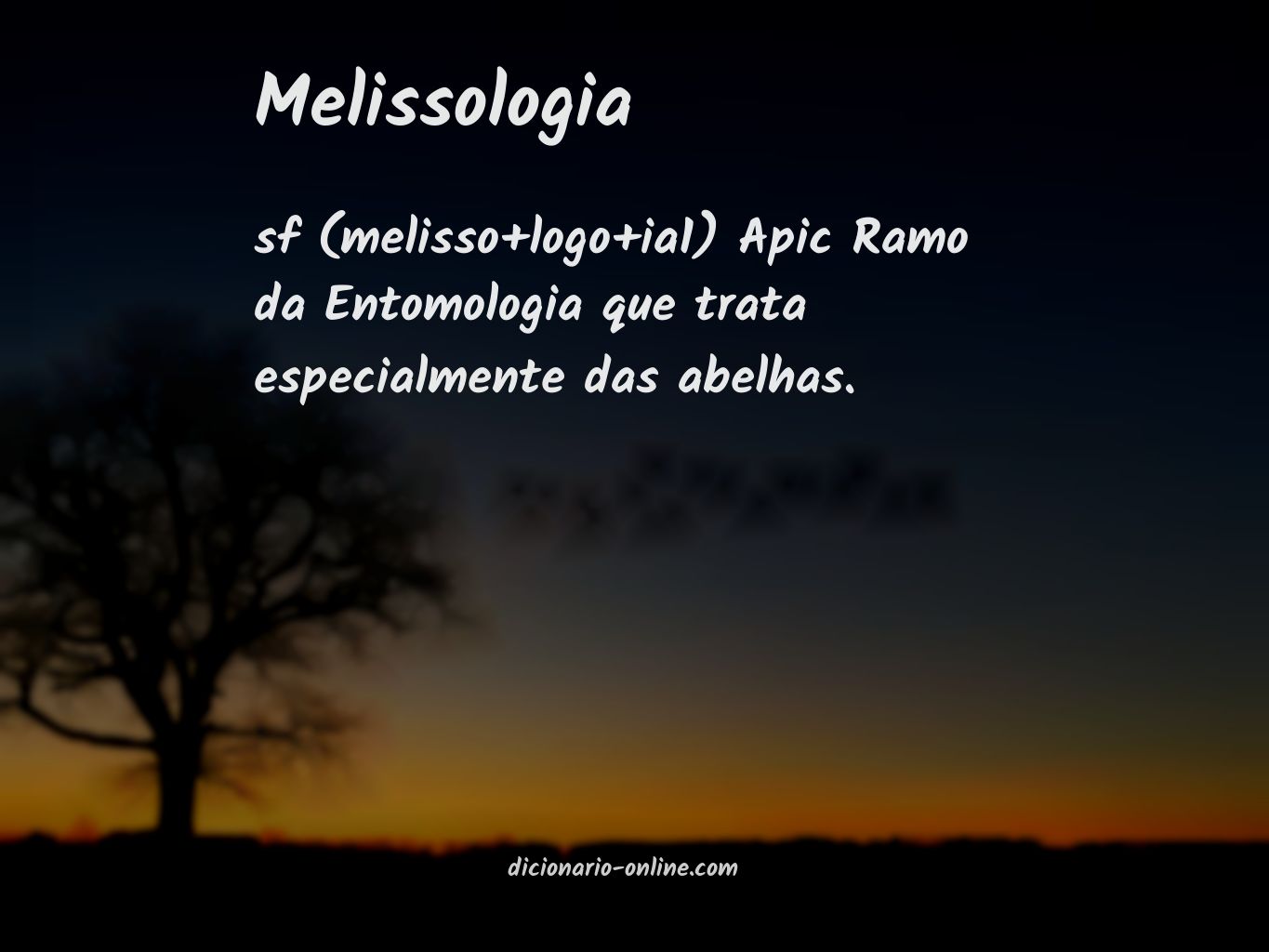 Significado de melissologia