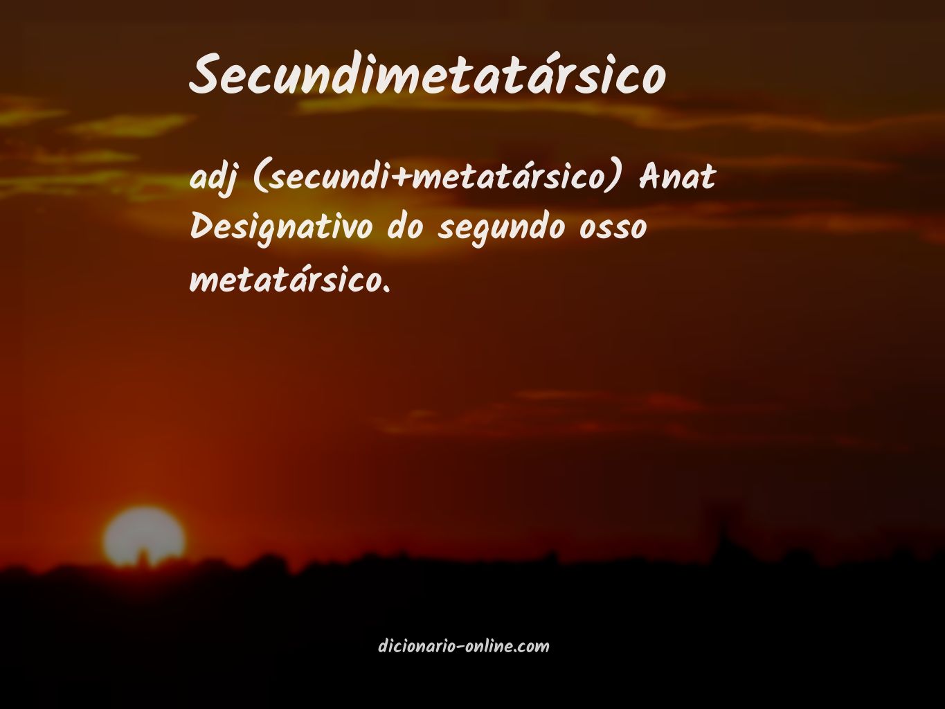 Significado de secundimetatársico