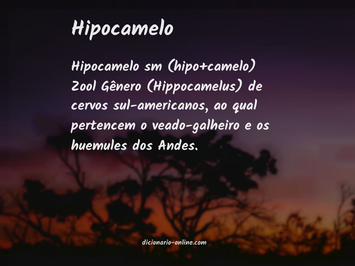 Significado de hipocamelo
