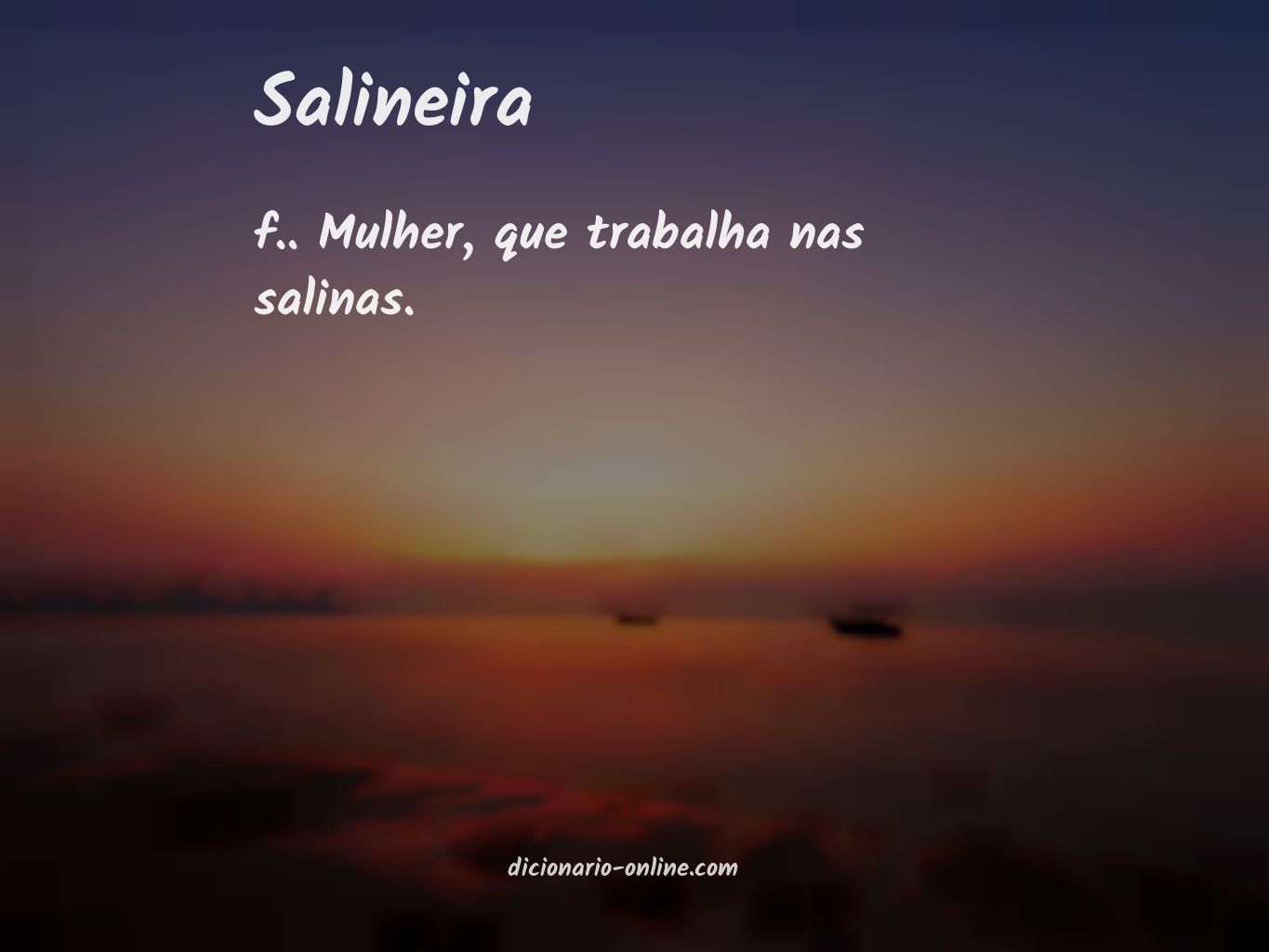 Significado de salineira