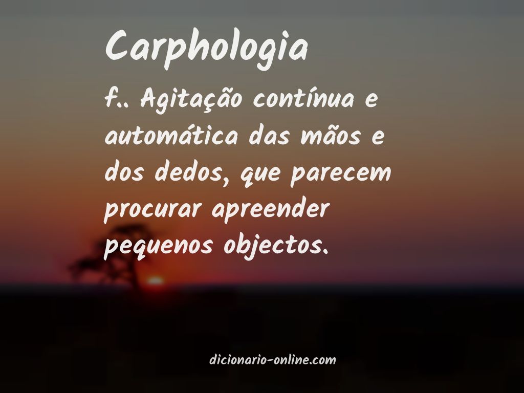 Significado de carphologia