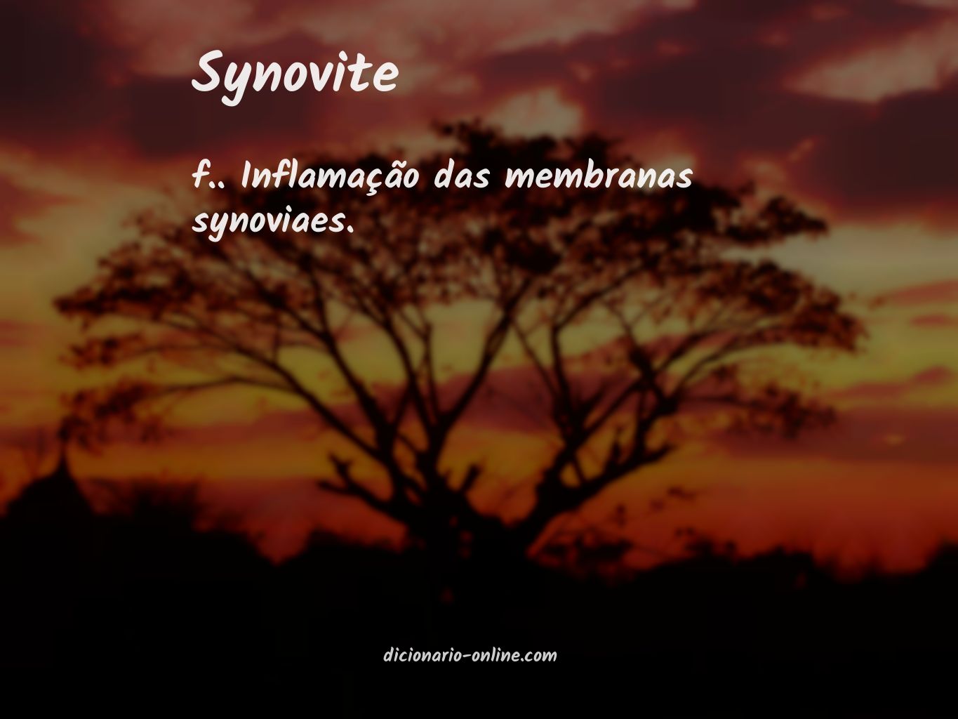 Significado de synovite