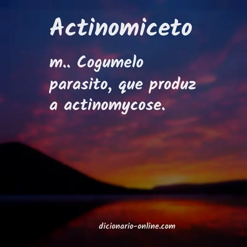 Significado de actinomiceto
