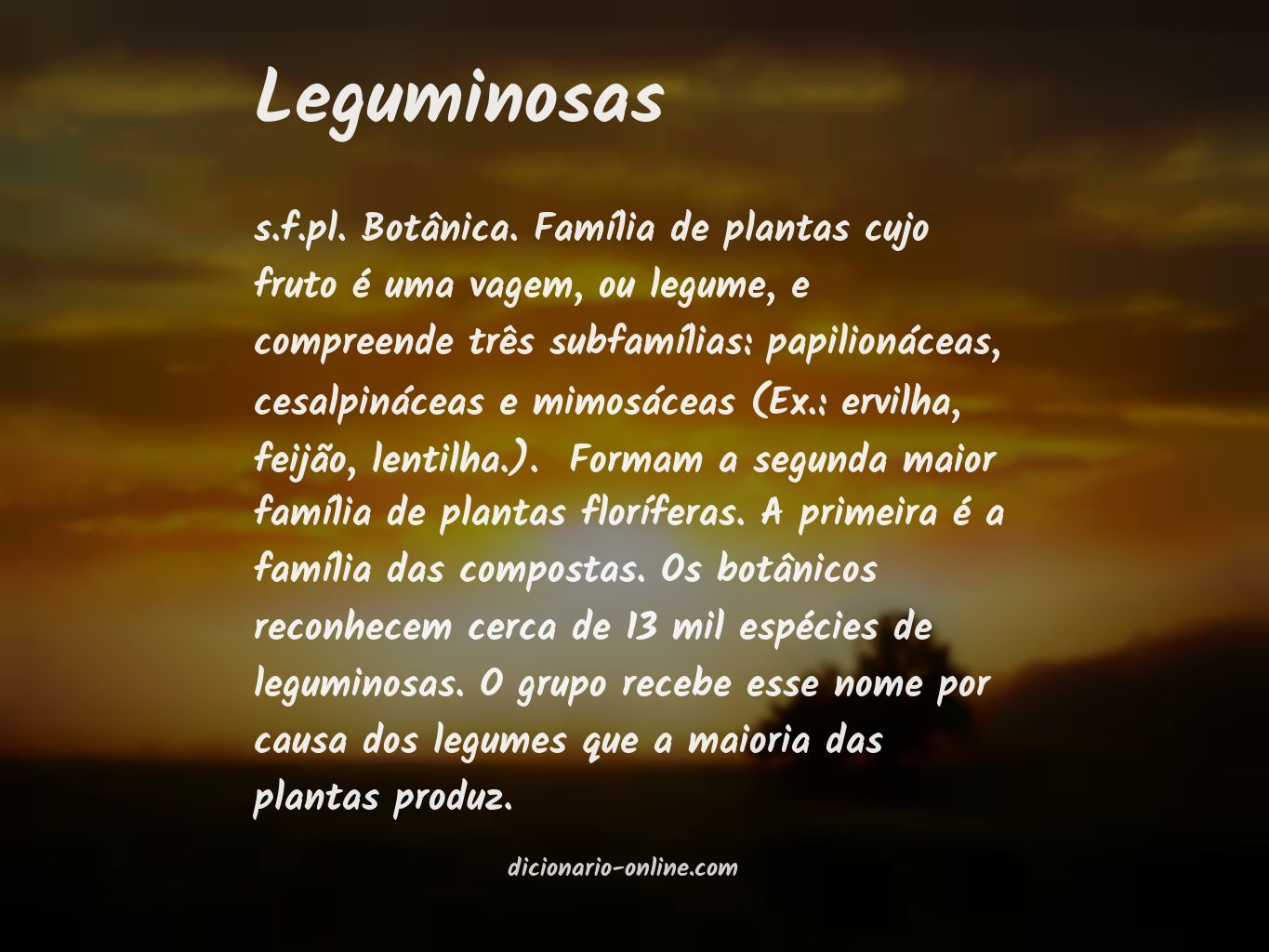 Significado de leguminosas