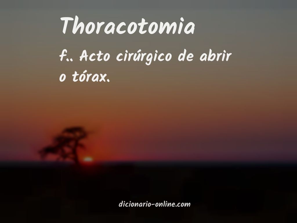 Significado de thoracotomia