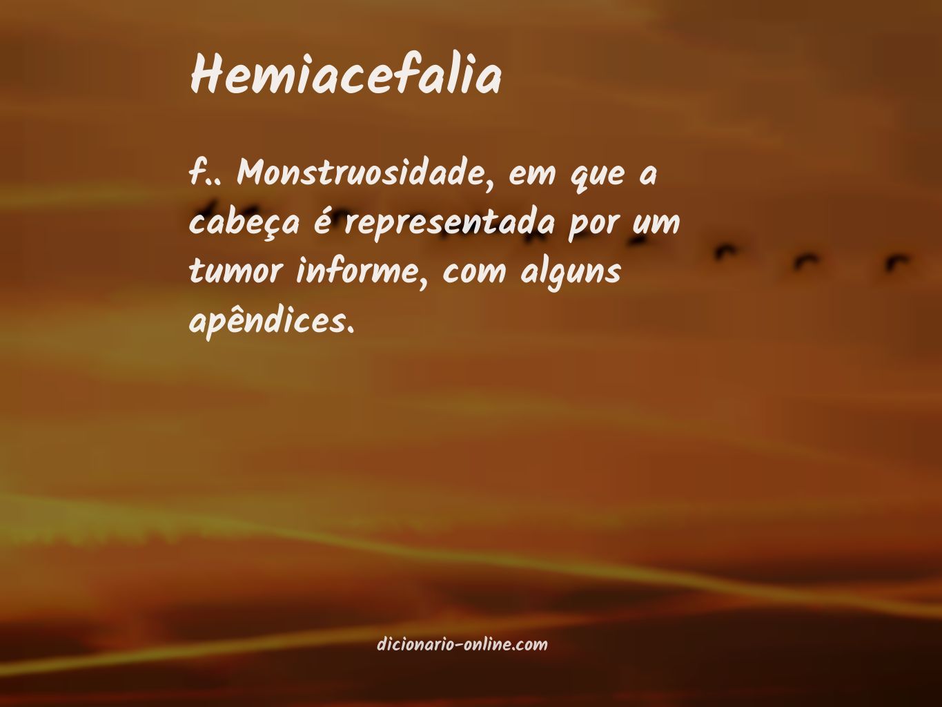 Significado de hemiacefalia